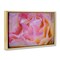 Stupell Industries Pink Floral Petals Palette Floating Frame, design by James Rodewald